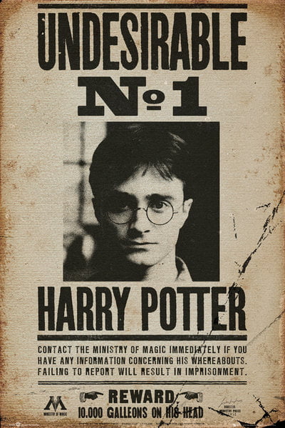 Harry Potter Undesirable No.1 Ready Framed Mounted Canvas Print Paper Poster 