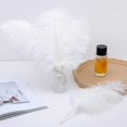 thumbnail image 4 of 24 Uds plumas de avestruz color champán a granel plumas bohemias de 10-12 pulgadas para jarrón y decoración del hogar centros de mesa para fiesta de boda, 4 of 4