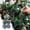 Green GN, variant on ABPWLY Christmas Balls Set Christmas Ball Ornament Set 4Pc 2.4in Velvet Flocked Hanging Glitter Plastic Tree Decorative Soft Lightweight Easy Hang Party Holiday