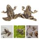 thumbnail image 2 of 1 Juego de estatuas antiguas de ranas de latón, figura decorativa de sapo de latón, pequeña figura de latón dorada, 2 of 7