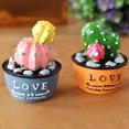 thumbnail image 4 of 4 Pcs Ornement en Résine Assortiment Simulation Plante en Pot Artisanat Miniature Ornement, 4 of 10