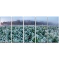 thumbnail image 2 of Frozen Hemp Field in Autumn Morning, 2 of 3