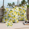 thumbnail image 3 of Yellow Lemons Outdoor Pillow Covers 20x20 Set of 2,Waterproof Patio Throw Pillowcase Protectors,Summer Citrus Fruits Leaves Country Vintage Decorative Pillow Shams Cushion Covers for Seat Bed Couch, 3 of 8