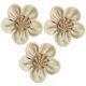 thumbnail image 3 of Artificial Silk Roses 12Pcs Romantic Decor For Weddings And Parties In Khaki Ideal For Craft Making And Home Interior, 3 of 5