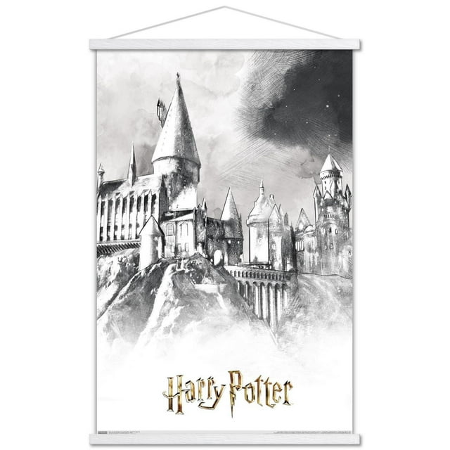 Le monde des sorciers : Harry Potter - Poudlard illustré