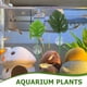 thumbnail image 5 of 6 almohadillas de hojas para peces Betta: mejora la salud de los peces Betta, hábitat natural, zona de descanso, lecho de plantas Monstera, adorno para acuario., 5 of 6