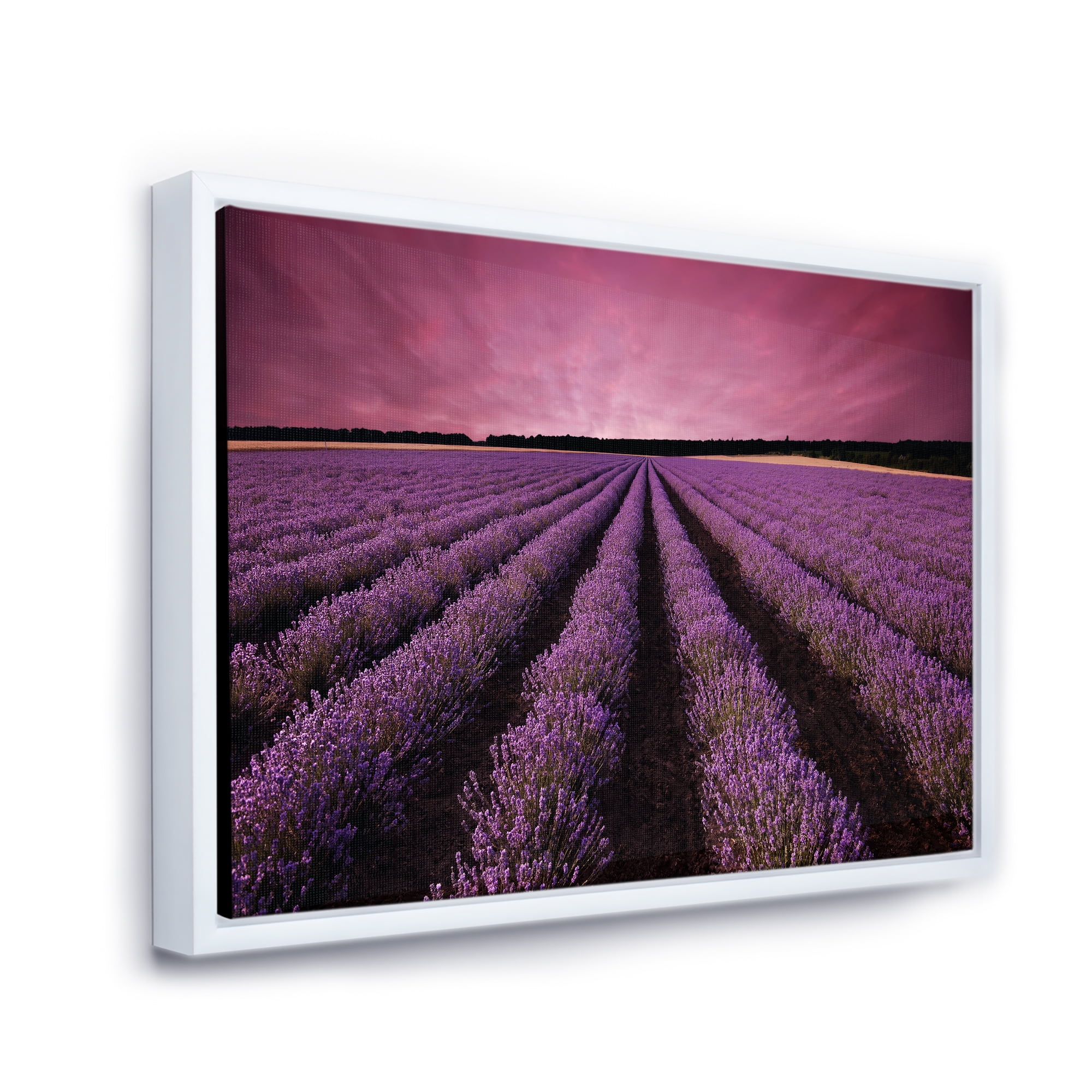 Designart 'Dramatic Clouds and Sunrise Over Lavender Field XI' Farmhouse Framed Canvas Wall Art Print