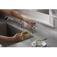 thumbnail image 5 of InSinkErator H-Contour-SS Distributeur d'Eau Chaude Instantané Contour, Chrome, 5 of 5