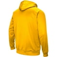 thumbnail image 3 of Youth Colosseum  Gold Pitt Panthers Big Logo Pullover Hoodie, 3 of 3