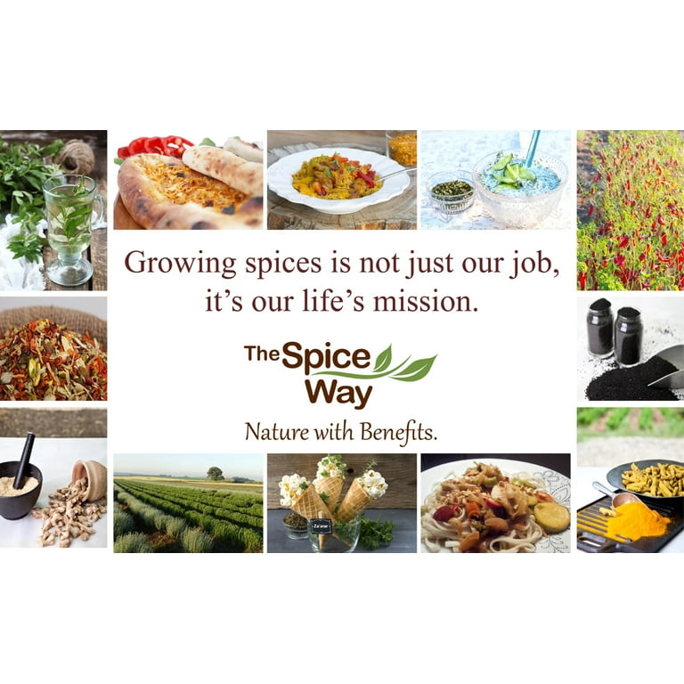 The Spice Way Barbeque Seasoning-Non-GMO No Preservative No Additives BBQ Steak Meat and Chicken 8oz, Size: 8 oz
