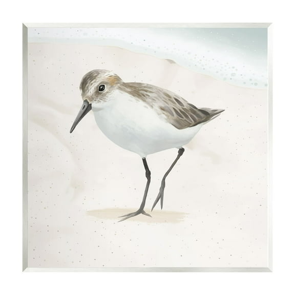Stupell Industries Stepping Sandpiper Bird Ocean Shoreline Beach Scene Graphic Art Unframed Art Print Wall Art, Design by Lucca Sheppard