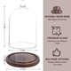 thumbnail image 4 of Vitrina con forma de cúpula de cristal REFSAVER para plantas y objetos de colección, 4 of 7