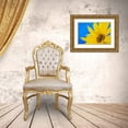 thumbnail image 3 of Mahan, Kathy 32x23 Gold Ornate Wood Framed with Double Matting Museum Art Print Titled - Sunflower on Blue III, 3 of 4