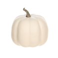 thumbnail image 1 of Harvest PL Short Mini Foam Pumpkin-Cream, 1 of 4