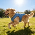 thumbnail image 4 of Vest Belt Evaporative Jacket Comfortable And Adjustable Breathable Jacket Suitable For Small And Medium Sized Cat Shirts Suitable For Walking, 4 of 5