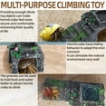 thumbnail image 3 of Hermit Crab Climbing Toys with Food Dish,Hermit Crab Water Bowl with Climbing Ramp,Resin Hermit Crabs Hideout,Hermit Crabs Tank Accessories Decor (Grey, 5.11 x2.16 x1.77in), 3 of 6