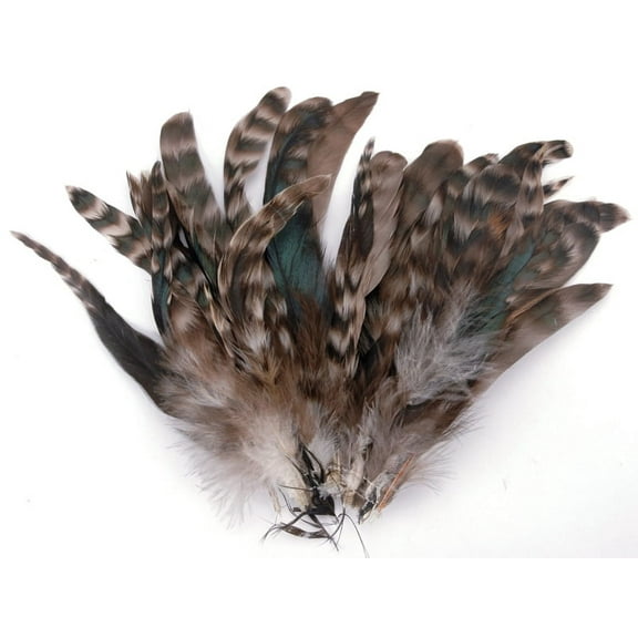 Strung Chinchilla Feathers-Natural, Pk 6, Zucker