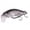 A004- Style D, variant on Bass Fishing Lure Featuring Realistic Minnow Shape and Sharp Treble Fishing Hooks, Bionic Slow Sinking Bait for Freshwater and Saltwater Fishing, Practical Father 's Day Gift for