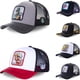 thumbnail image 2 of Alta calidad Saint Seiya dibujos animados Anime Snapback gorra de béisbol hombres mujeres Hip Hop papá malla camionero sombrero Dropshipping hola suerte unisex, 2 of 2