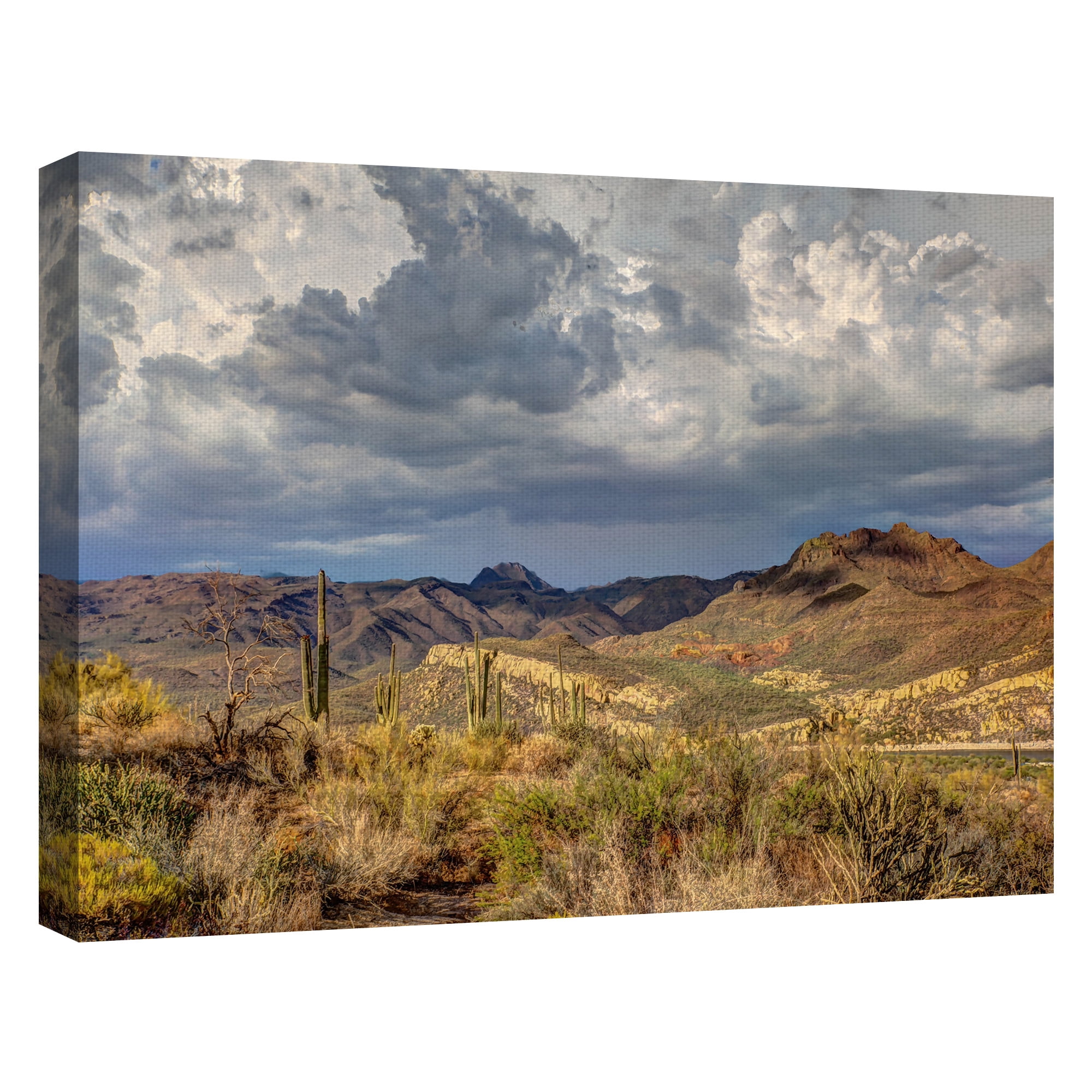 Masterpiece Art Gallery Stormy Desert by Robert Murray Canvas Art Print 30" x 40"