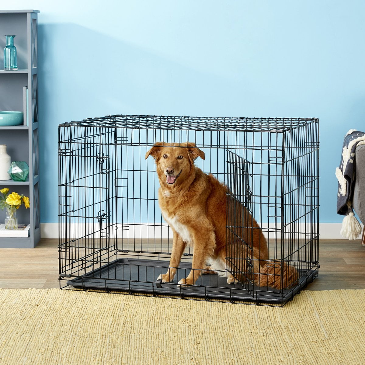 Paws and pals dog crate hotsell