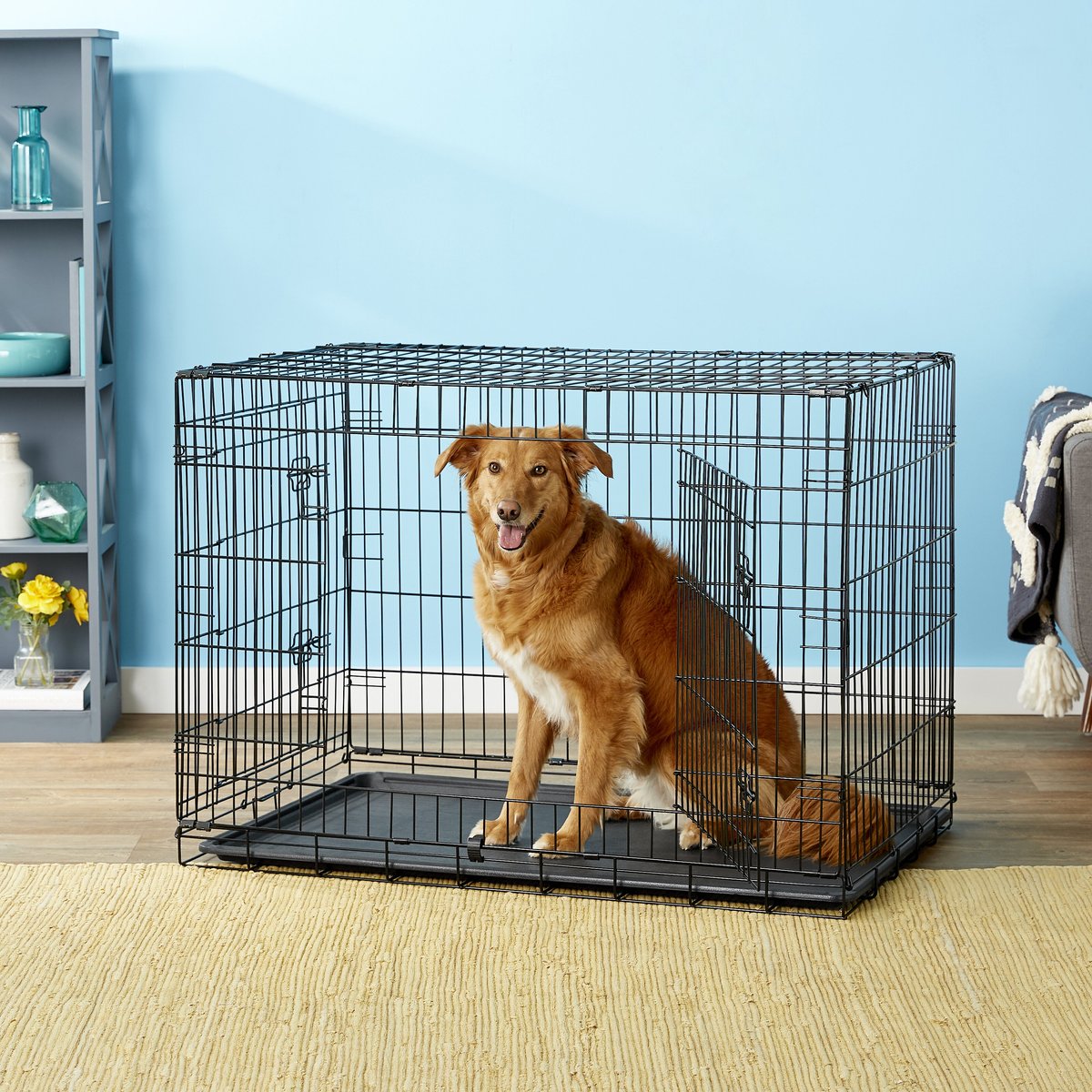 Paws & Pals Wire Dog Crate with Tray Double Door (42-inch) (XL) - image 5 of 12