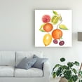 thumbnail image 3 of Trademark Fine Art 'Harvest Medley III' Canvas Art by Chariklia Zarris, 3 of 3