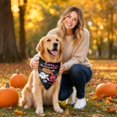 thumbnail image 6 of 4 Patterns Halloween Dog Bandana Single Pack Pet Bib,Colorful Triangle Scarf Double Sided Large Size Pet Bandana for Medium Large Dogs Cats,Halloween Party Costume Decor Fall Decor, 6 of 6