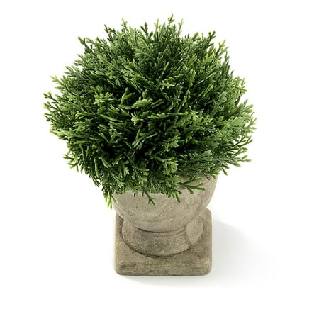Mini Accents Trophy Mini Lifelike Artificial Topiary Fake Green Grass with Trophy Design Paper Pulp Pot for Home Decor ()