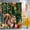 Orange Green DarkGreen, variant on Shower Curtains for Bathroom-36"x72",Thanksgiving Squirrel Hazelnuts Waterproof Bath Curtain Grommet Shower Curtain Set with Hooks