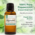 thumbnail image 3 of Peppermint Essential Oil - 1 fl oz (30 ml) Glass Bottle w/ Euro Dropper - 100% Pure Essential Oil by GreenHealth, 3 of 10