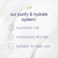 thumbnail image 2 of Dove Care & Protect Conditioner Purify & Hydrate, 12 oz, 2 of 9