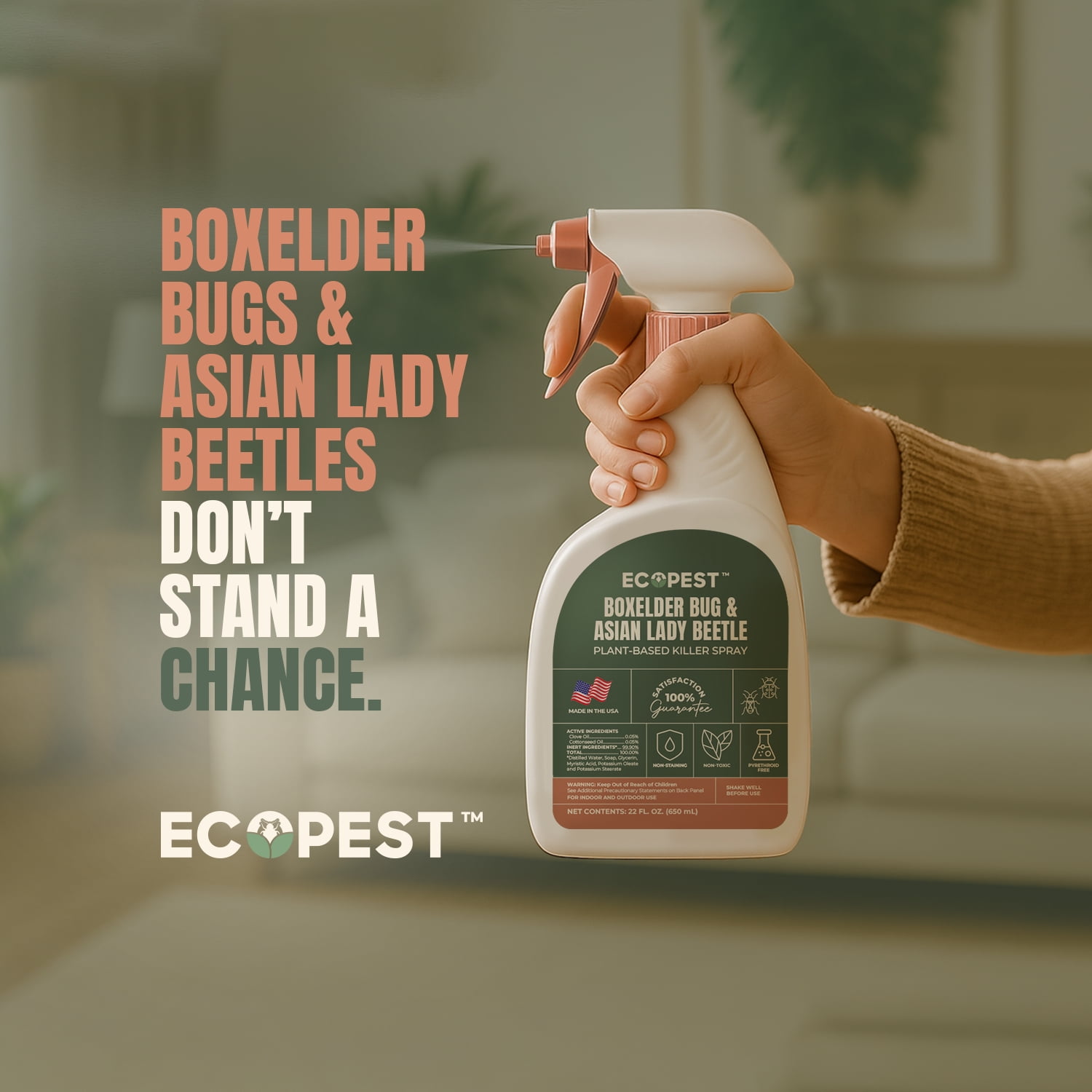 Boxelder Bug & Asian Lady Beetle Spray | Natural, Plant-Based Insect Killer for Indoor and Outdoor with Clove Oil | Home Pest Control for Boxelder Bugs, Asian Lady Beetles, and Carpet Beetles, 22 oz.