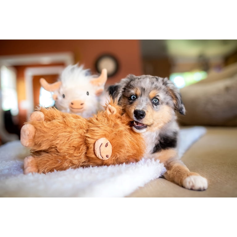 Multipet, Dog Toy, 8