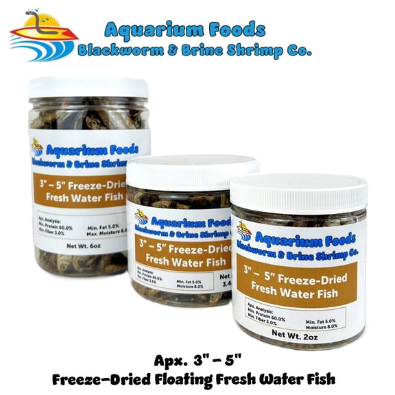 3"- 5" Freeze Dried Fresh Water Fish for Piranhas Large Fish, Land and Aquatic Turtles, Rodents, Reptiles, Lizards, Cat Treats - 2oz Sm Round Jar