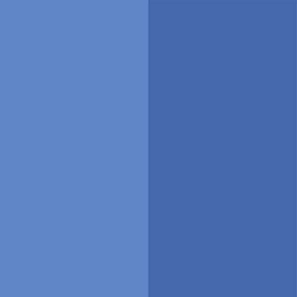 Stellar Jay