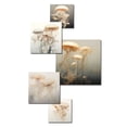 thumbnail image 3 of Designart "Wondrous Minimalist Jellyfish" Jellyfish Wall Art Set Of 5 - Beige Traditional Wall Living Room Decor Set, 3 of 6