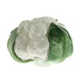 thumbnail image 2 of Artificial ista comida decoración vegetal accesorios modelo jugar juguete blanco Zulema Vegetal de comida artificial, 2 of 8