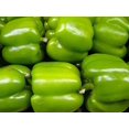 thumbnail image 1 of 200 BIG GREEN Bell PEPPER Sweet Capsicum Annuum Vegetable Seeds, 1 of 8