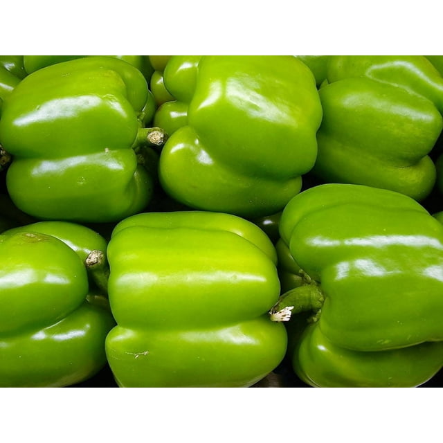 200 BIG GREEN Bell PEPPER Sweet Capsicum Annuum Vegetable Seeds