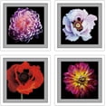 thumbnail image 3 of PixonSign 12x12 White Picture Frame, Set of 4, 3 of 6