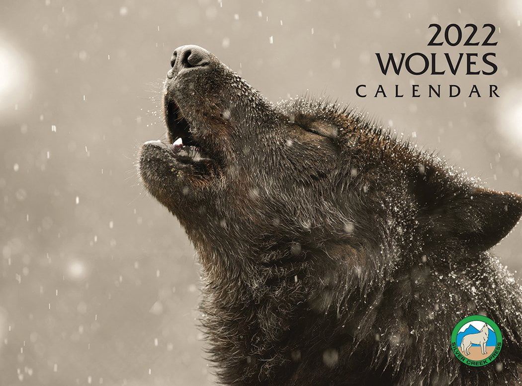 Calendars & Planners Wolves Daily Desktop Spirit of the Wolf 2022 Box