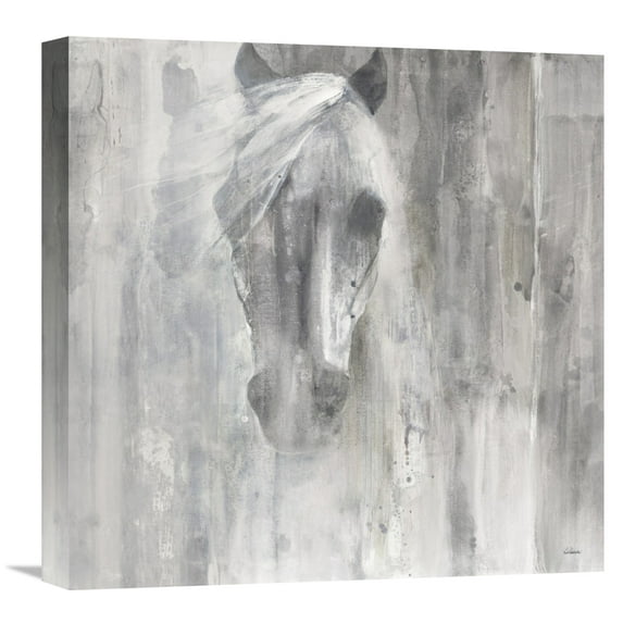 Global Gallery Albena Hristova 'Shadow Gray' Canvas Wall Art