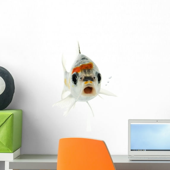 Silver Koi Fish Wall Decal by Wallmonkeys Peel and Stick Graphic (18 in H x 14 in W) WM54394