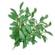 thumbnail image 4 of Planta Artificial Hoja Rama Simulación Vegetación Hogar Oficina Tela Planta falsa, Verde 10 Piezas kenally HA8513-01B, 4 of 6