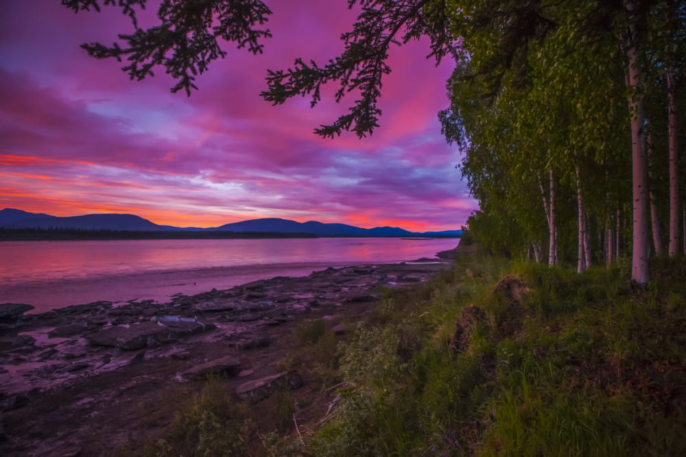 Sunset/sunrise in early June on the Yukon River in summer; Alaska