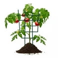 thumbnail image 4 of TERGAYEE Plant Climbing Trellis Supports,Plastic Mini Garden Trellis for Climbing Plants Superimposed Potted Plant Support Climbing Holder Rack for Indoor Outdoor Vines Flower Vegetable, 4 of 6