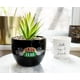 thumbnail image 2 of Planta decorativa artificial con vegetación artificial Silver Buffalo, 2 of 7