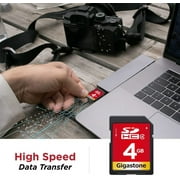 Gigastone 4GB SDHC Flash Memory Card