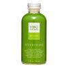 Honeybee Gardens Herbal Aftershave, Key Lime, 4 Oz